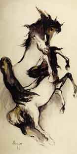 CABALLOS SALVAJES. c. 1971.
