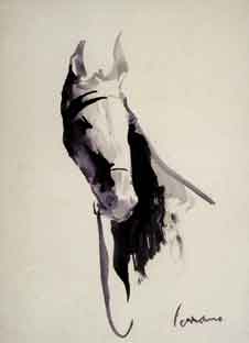 PEGASO. c. 1972.